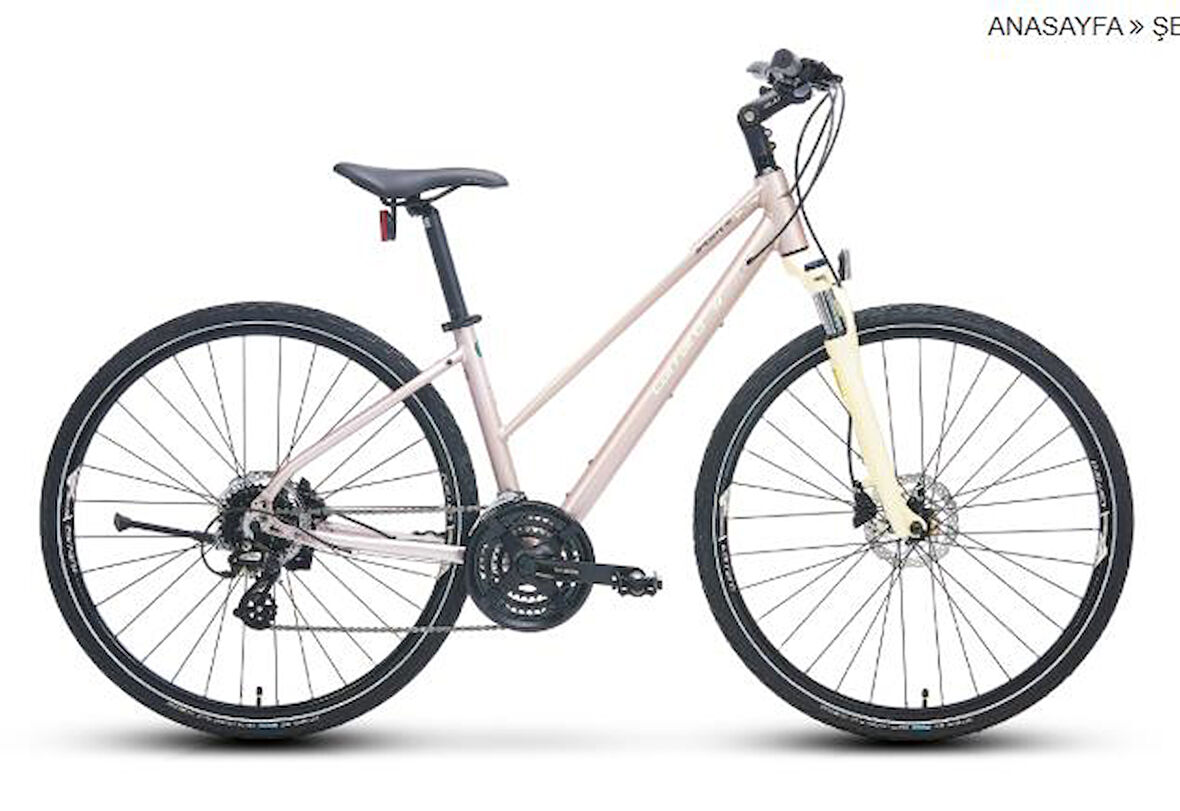 28  CARRARO SPORTIVE 226 406H 24-V HD MAT METALIK-PEMBE-BEJ-MOR R2