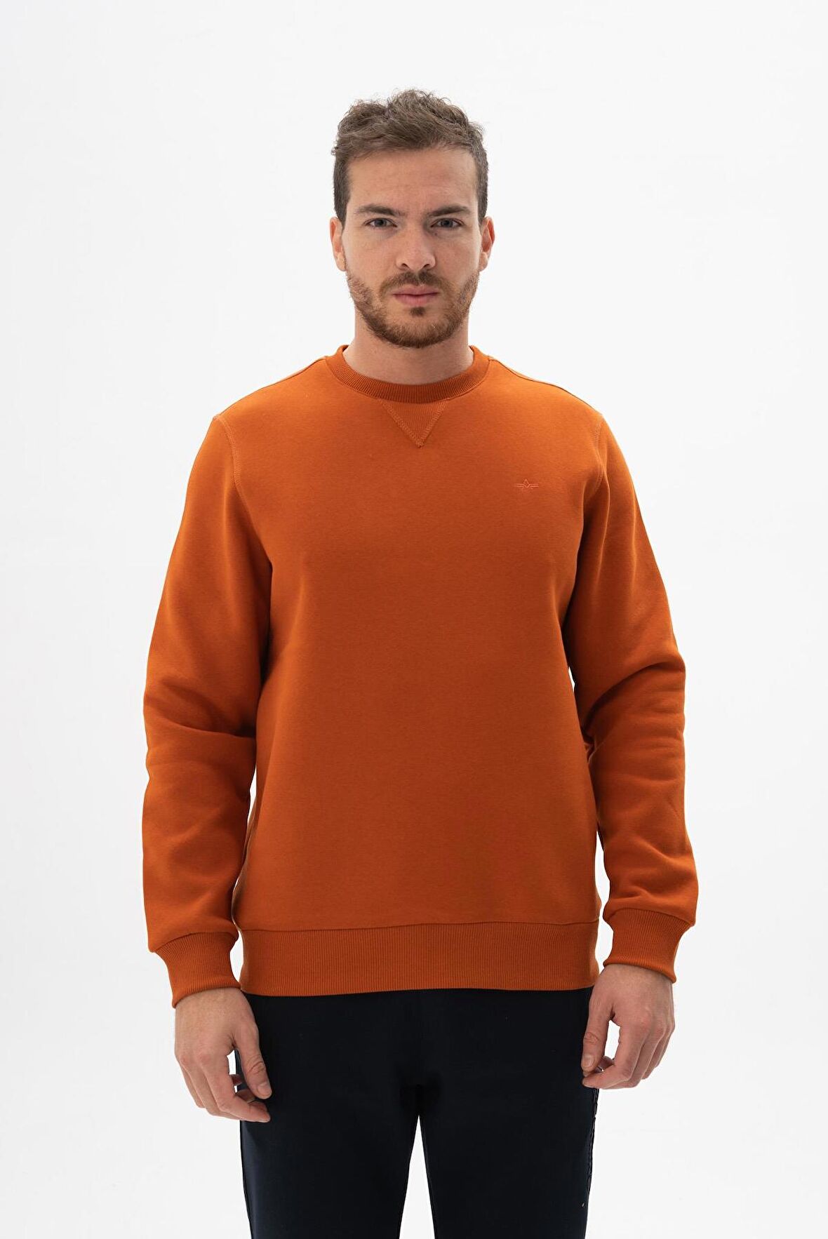 Arma Erkek Regular Fit Bisiklet Yaka Sweatshirt 