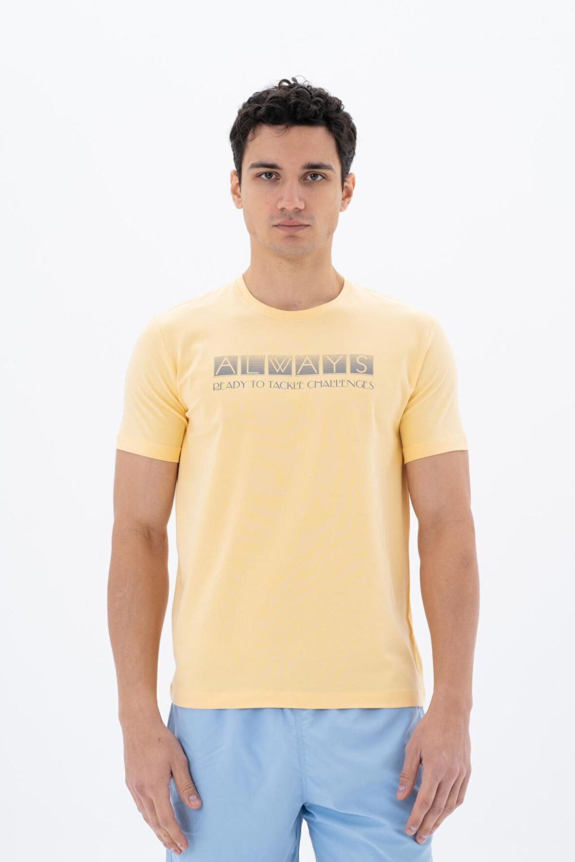 Arma Erkek Slim Fit Bisiklet Yaka Tişört 