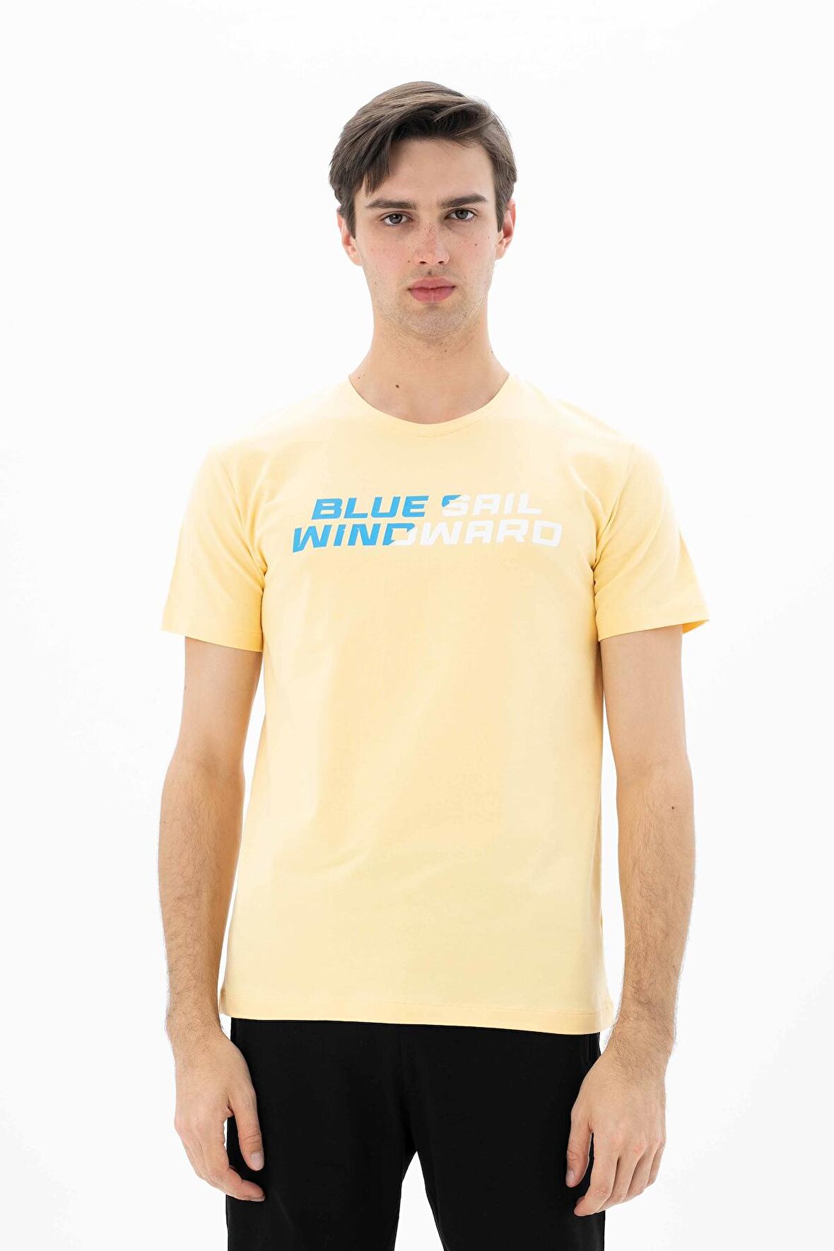 Arma Erkek Slim Fit Bisiklet Yaka Tişört 