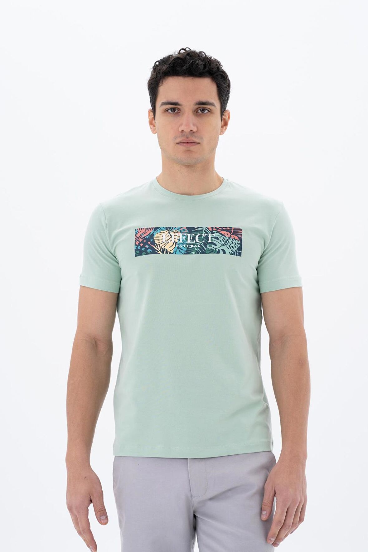 Arma Erkek Slim Fit Bisiklet Yaka Tişört 