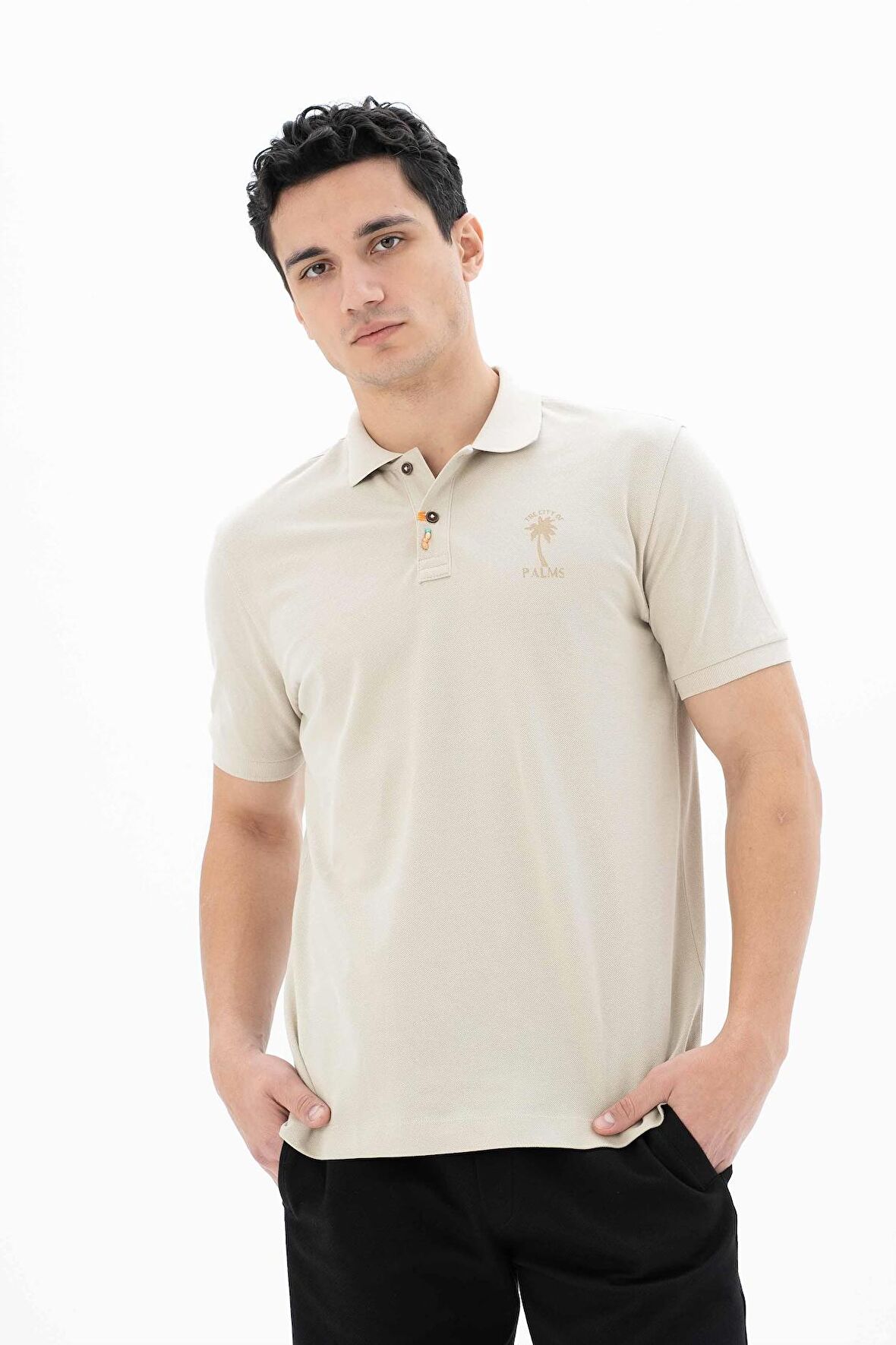 Arma Erkek % 100 Pamuk Regular Fit Polo Yaka T-Shirt 