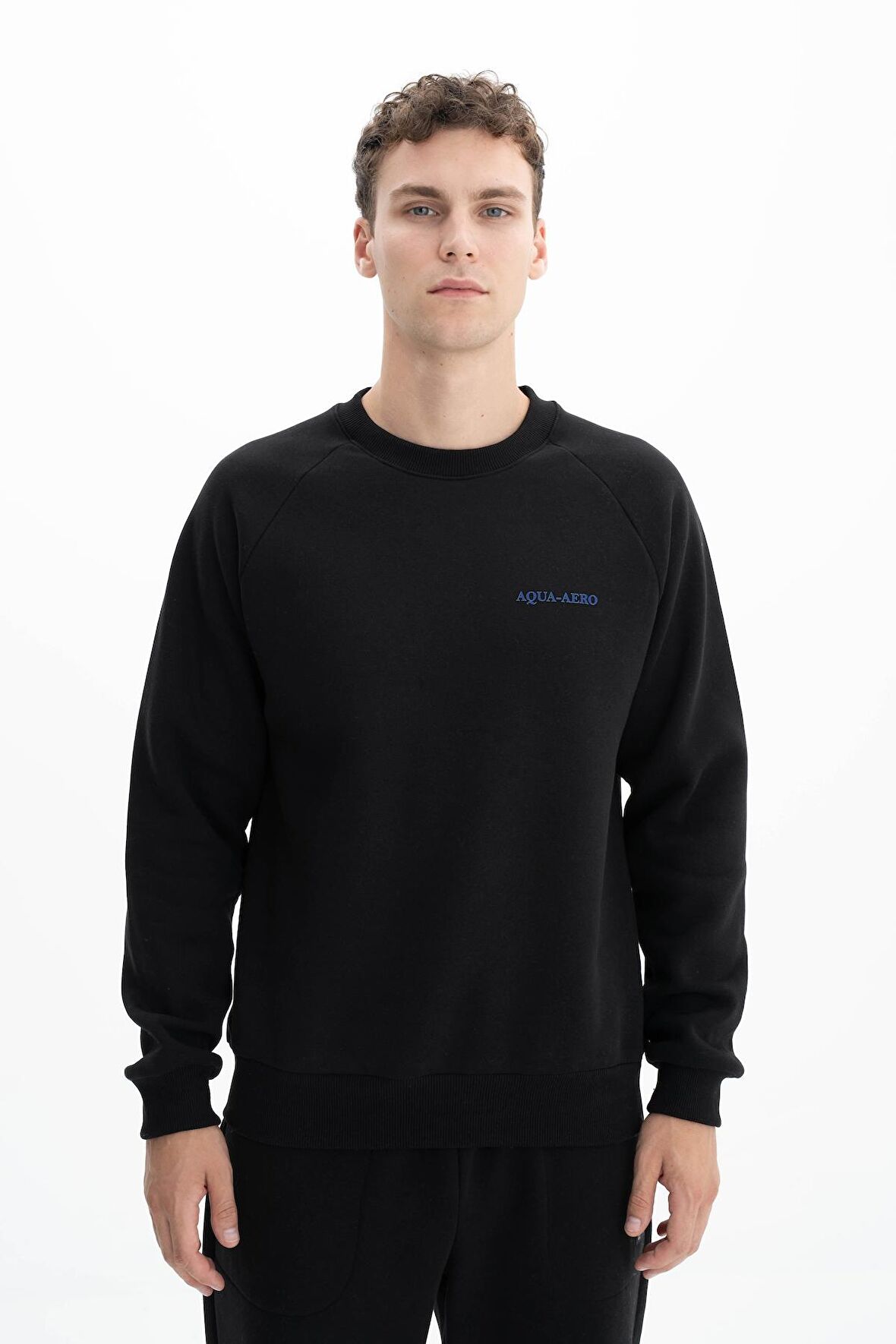Arma Erkek Regular Fit Bisiklet Yaka Sweatshirt 