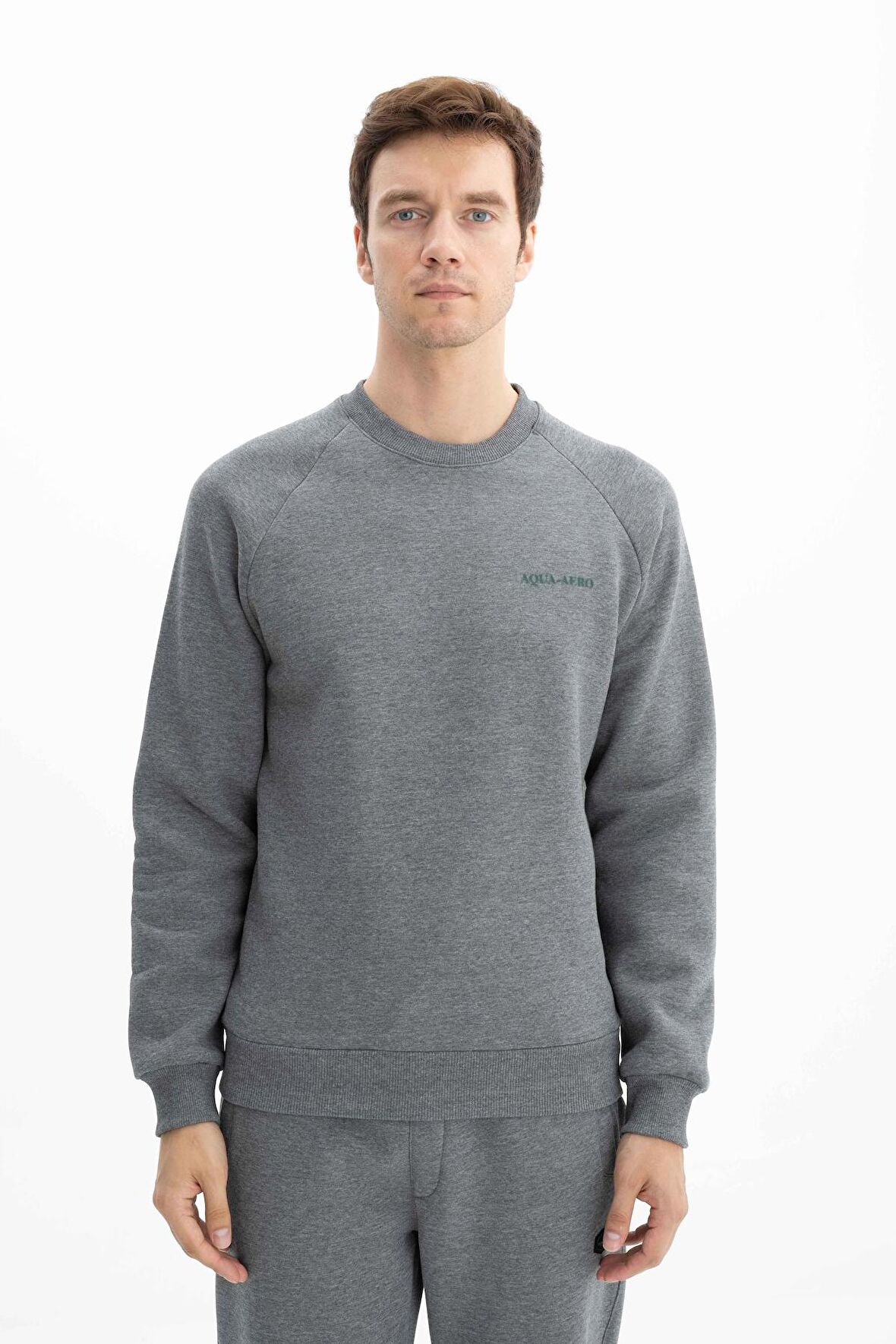 Arma Erkek Regular Fit Bisiklet Yaka Sweatshirt 