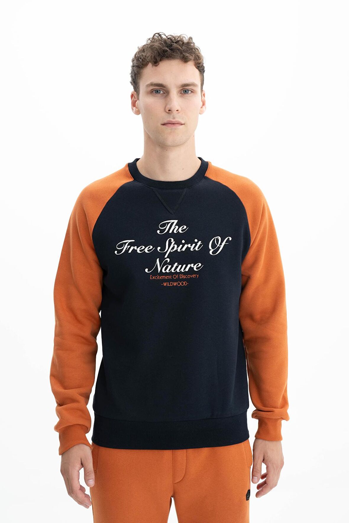 Arma Erkek Regular Fit Bisiklet Yaka Sweatshirt 