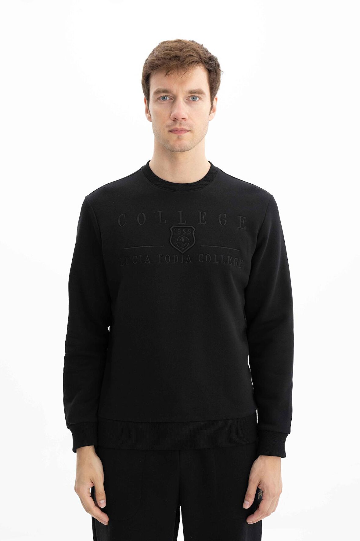 Arma Erkek Regular Fit Bisiklet Yaka Sweatshirt 