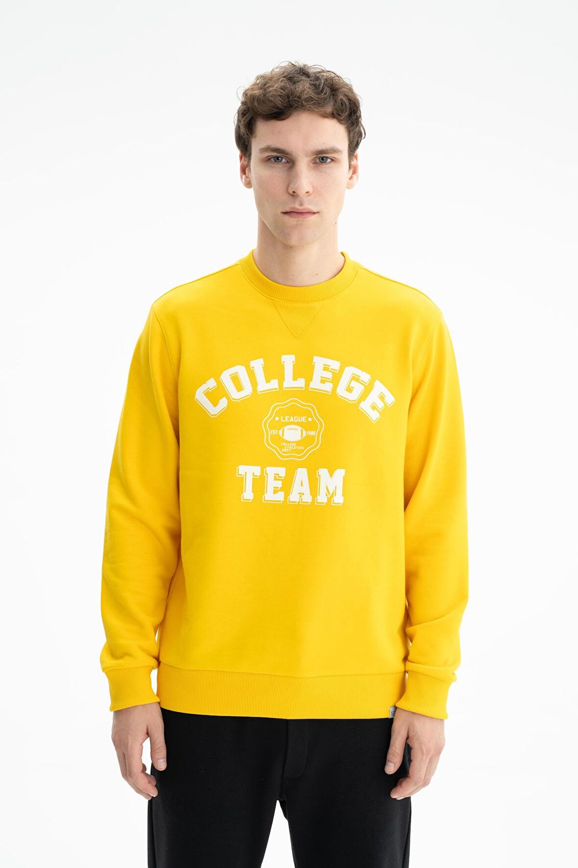 Arma Erkek Regular Fit Şardonsuz 3 İplik Bisiklet Yaka Sweatshirt 