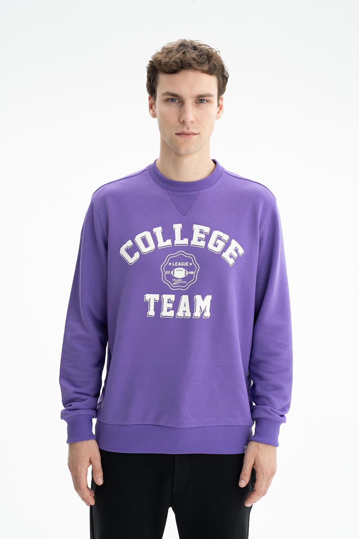 Arma Erkek Regular Fit Şardonsuz 3 İplik Bisiklet Yaka Sweatshirt 