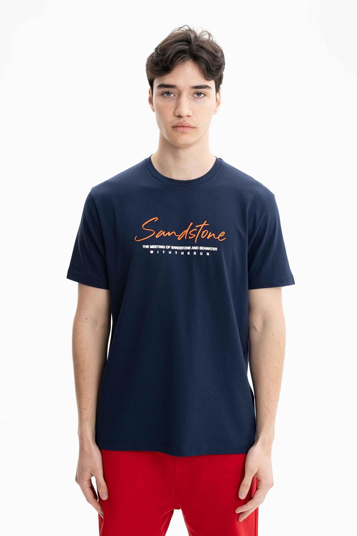 Arma Erkek Regular Fit Örme Süprem Penye Bisiklet Yaka Tişört 