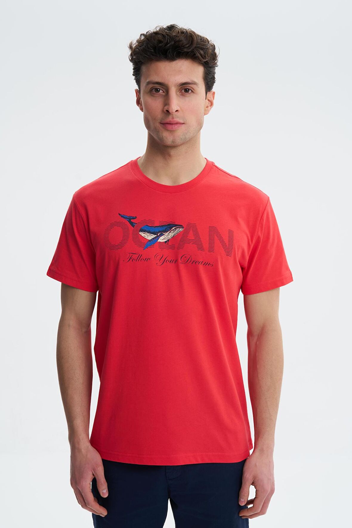 Arma Erkek Regular Fit Penye Süprem % 100 Pamuk Bisiklet Yaka Tişört 