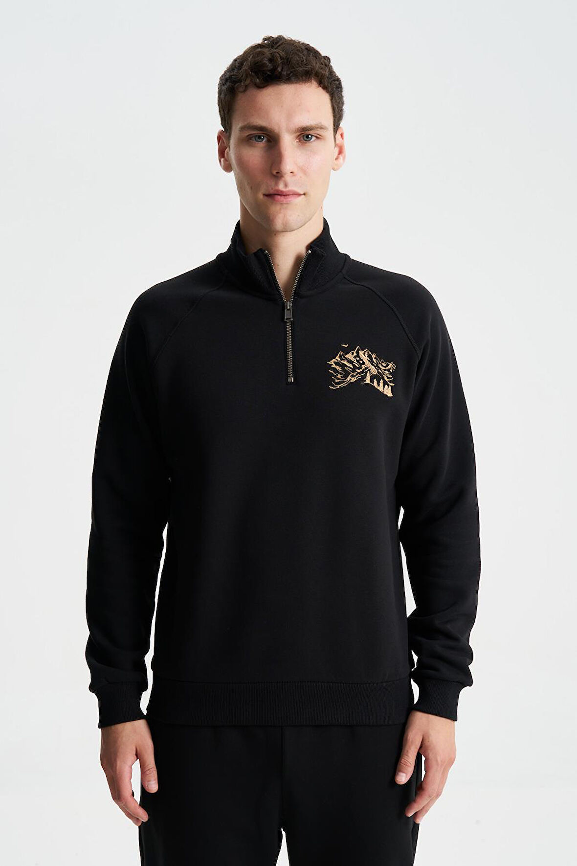 Arma Erkek Regular Fit Cepsiz Basic 3 İplik Şardonlu Dik Yaka Yarım Fermuar Sweatshirt 