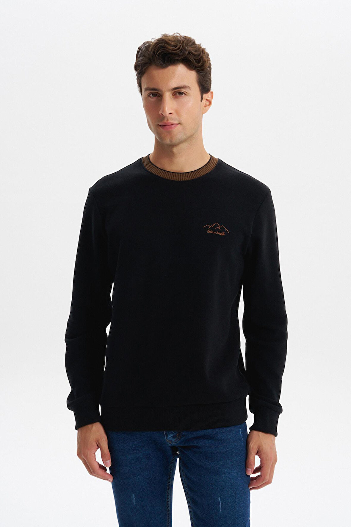 Arma Erkek Regular Fit Örme Selanik Sweatshirt – %65 Pamuk %35 Polyester, Karbon Fırçalı, Basic Bisiklet Yaka K30124698902 
