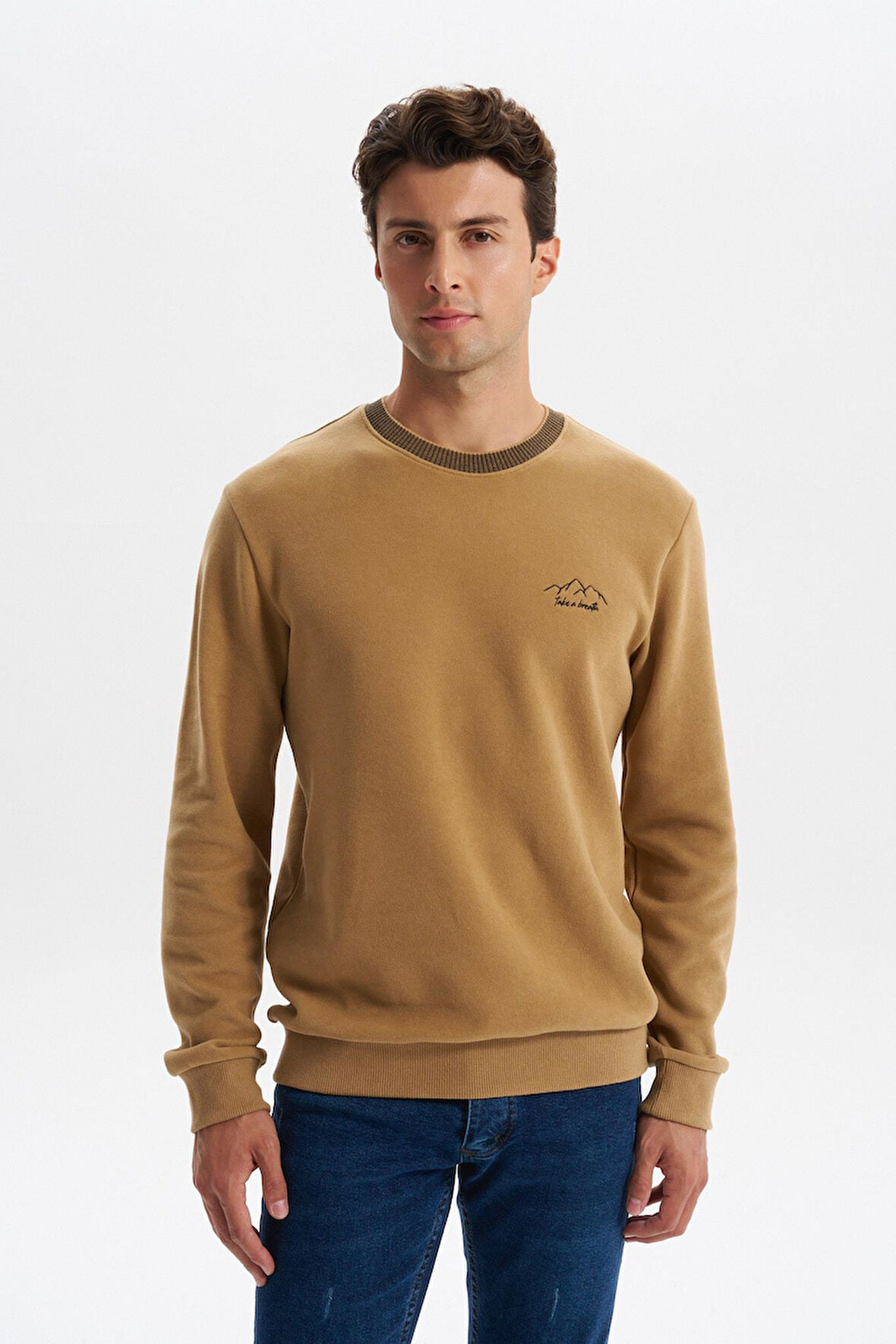Arma Erkek Regular Fit Örme Selanik Sweatshirt – %65 Pamuk %35 Polyester, Karbon Fırçalı, Basic Bisiklet Yaka K30124698902 