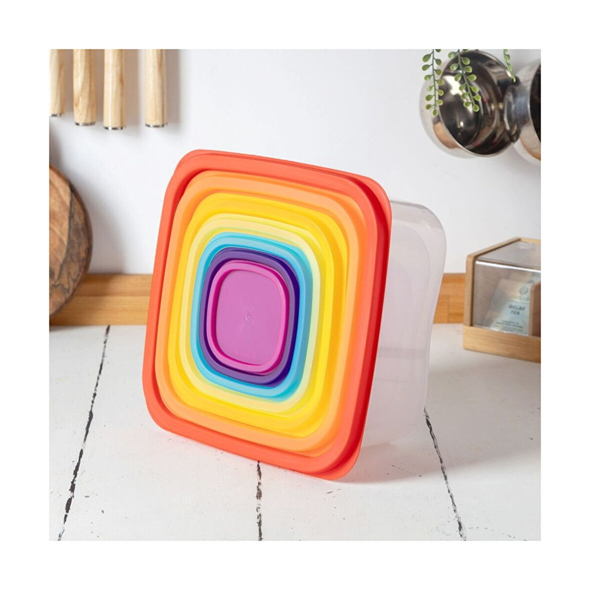 AKILLIELMA-BEE HOME 6LI SAKLAMA KABI BEE 1627