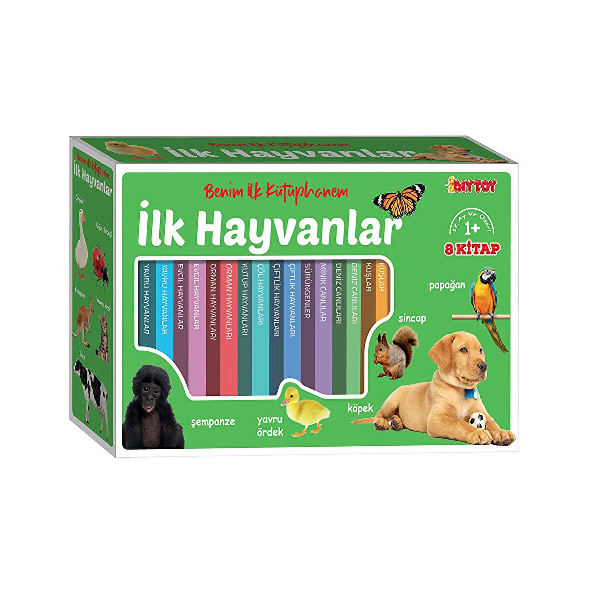DIYTOY Minik Kitaplar İlk Kütüphanem - İlk Hayvanlar