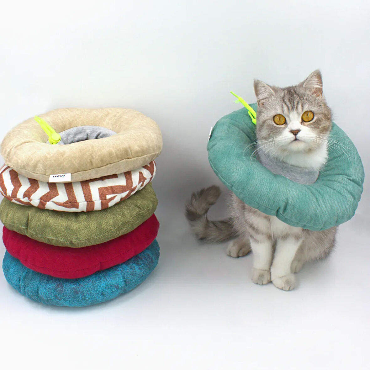 Lepus Kedi Köpek Yakalık Düz Renkli Mix Large