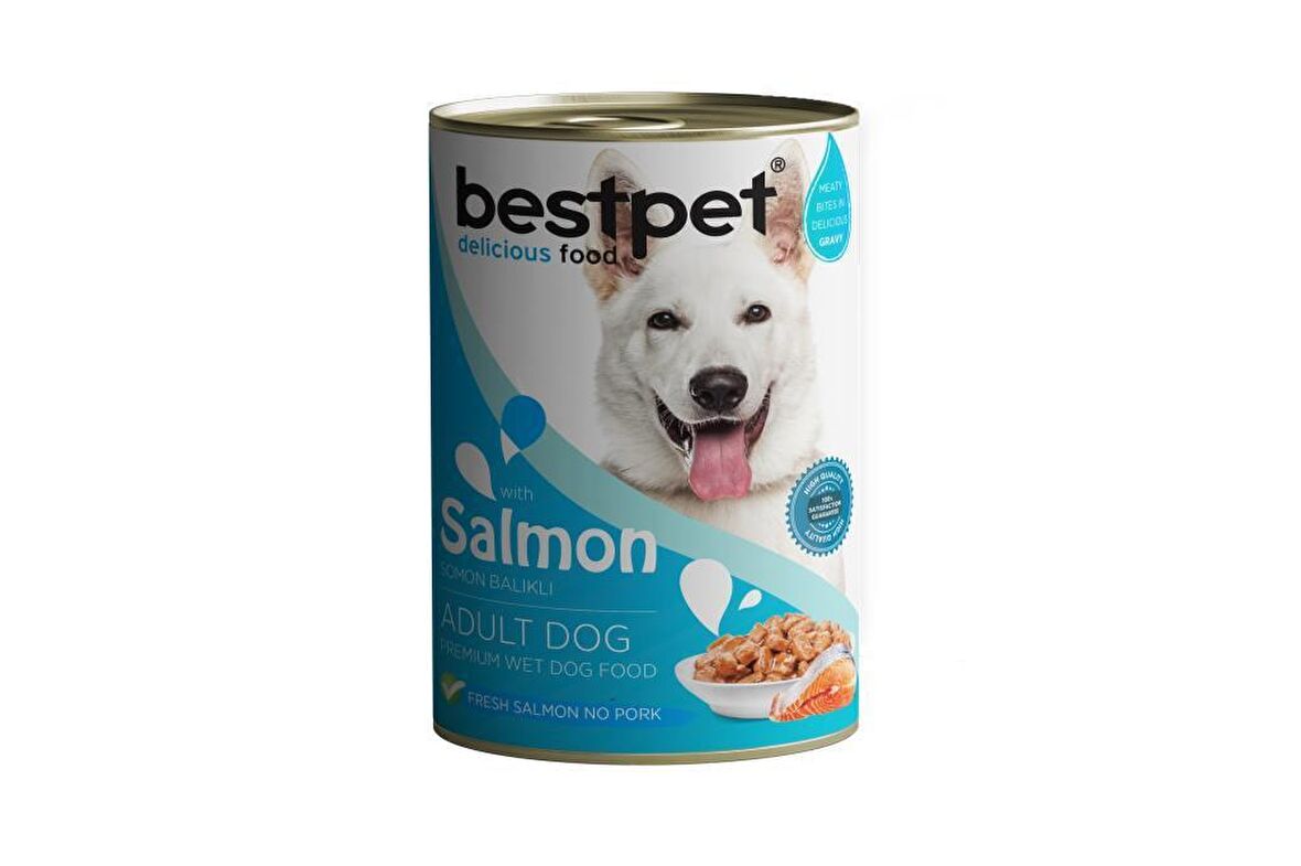 Bestpet Somonlu Küçük Irk Yetişkin Yaş Köpek Maması 400 gr