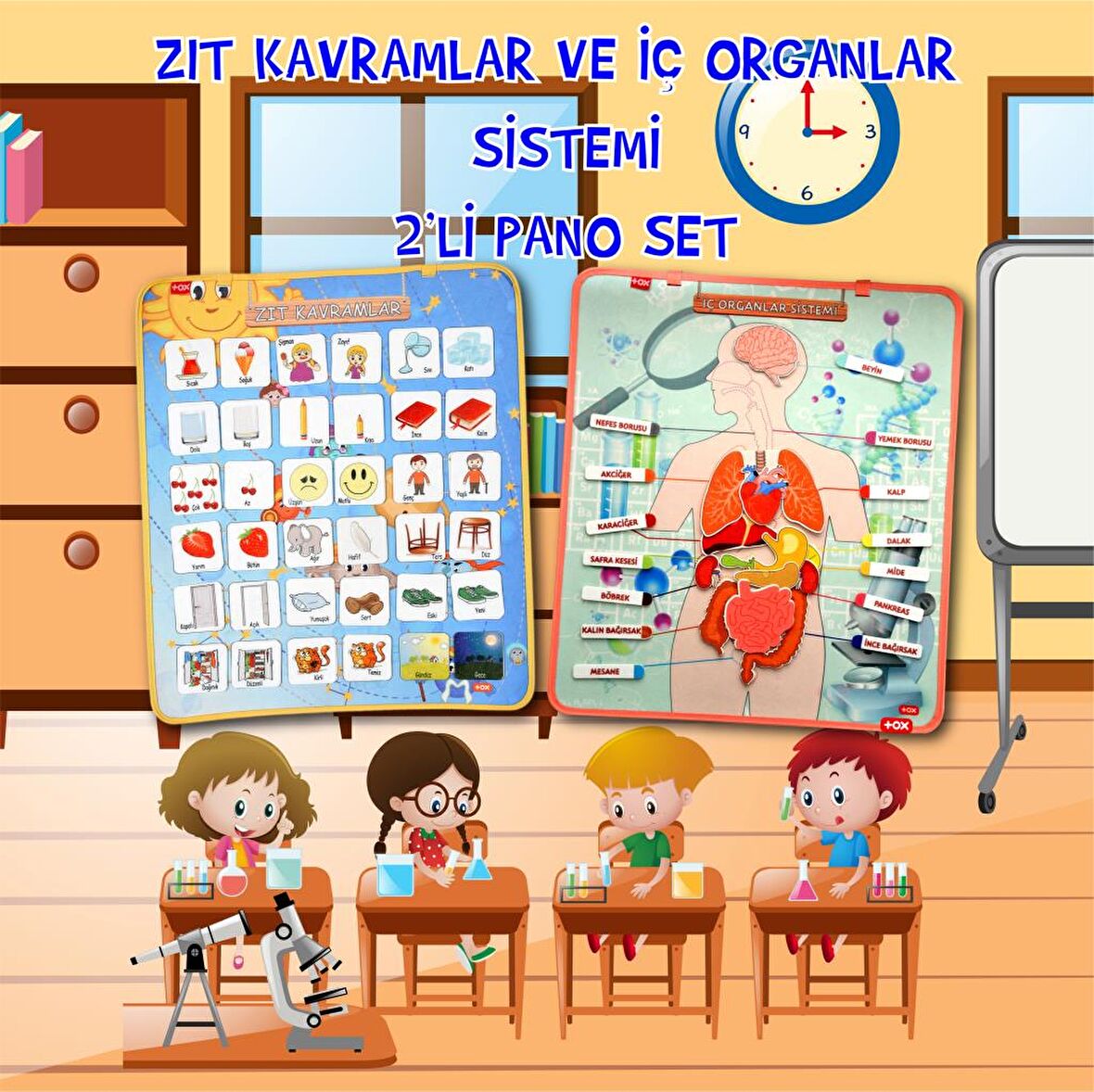 2 Set - 62 Parça Tox İç Organlar ve Zıt Kavramlar Keçe Cırtlı Duvar Panoları , Eğitici Oyuncak