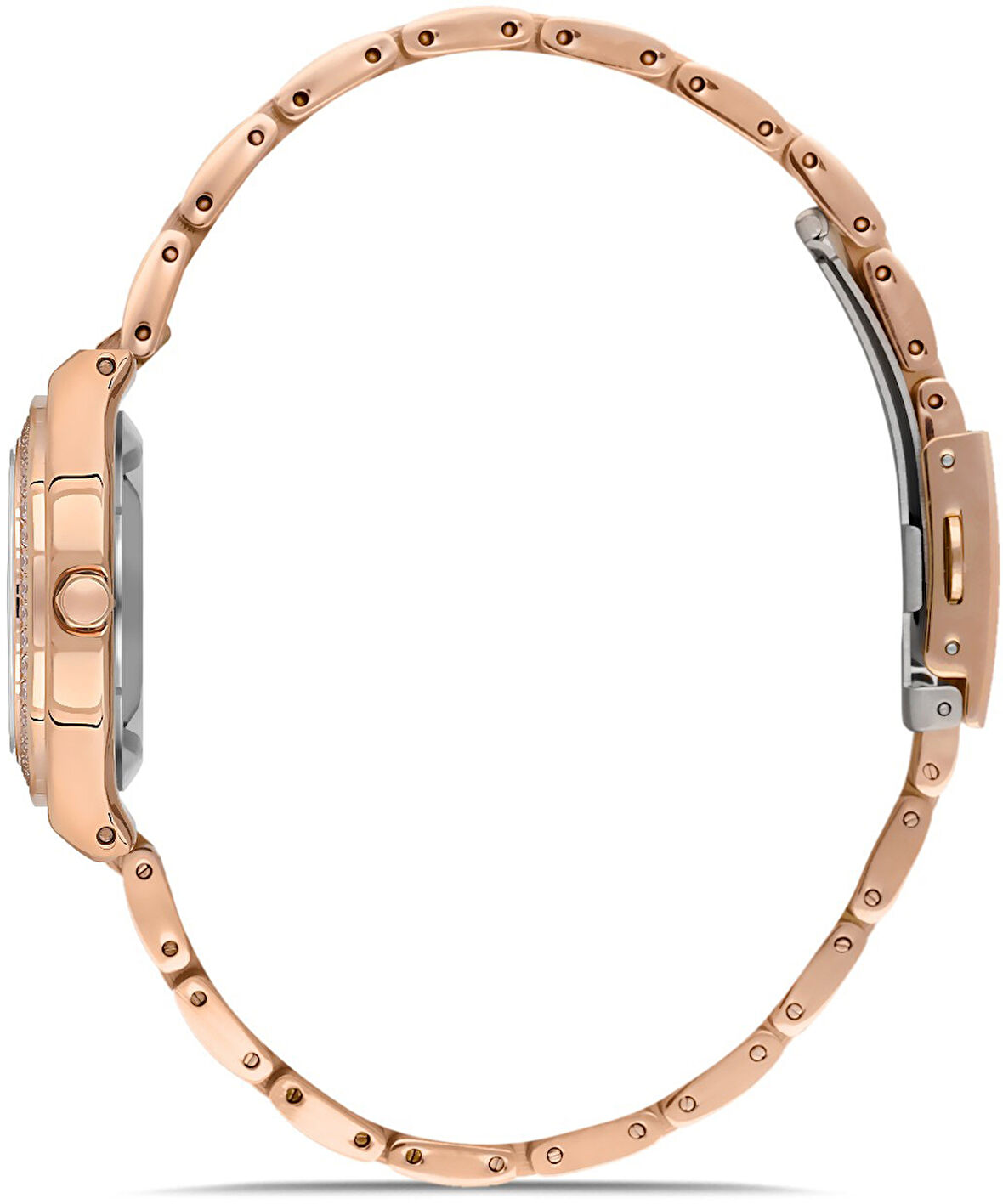 DAVİD GÜNER KADIN KOL SAATİ S.DG8519LA-C2