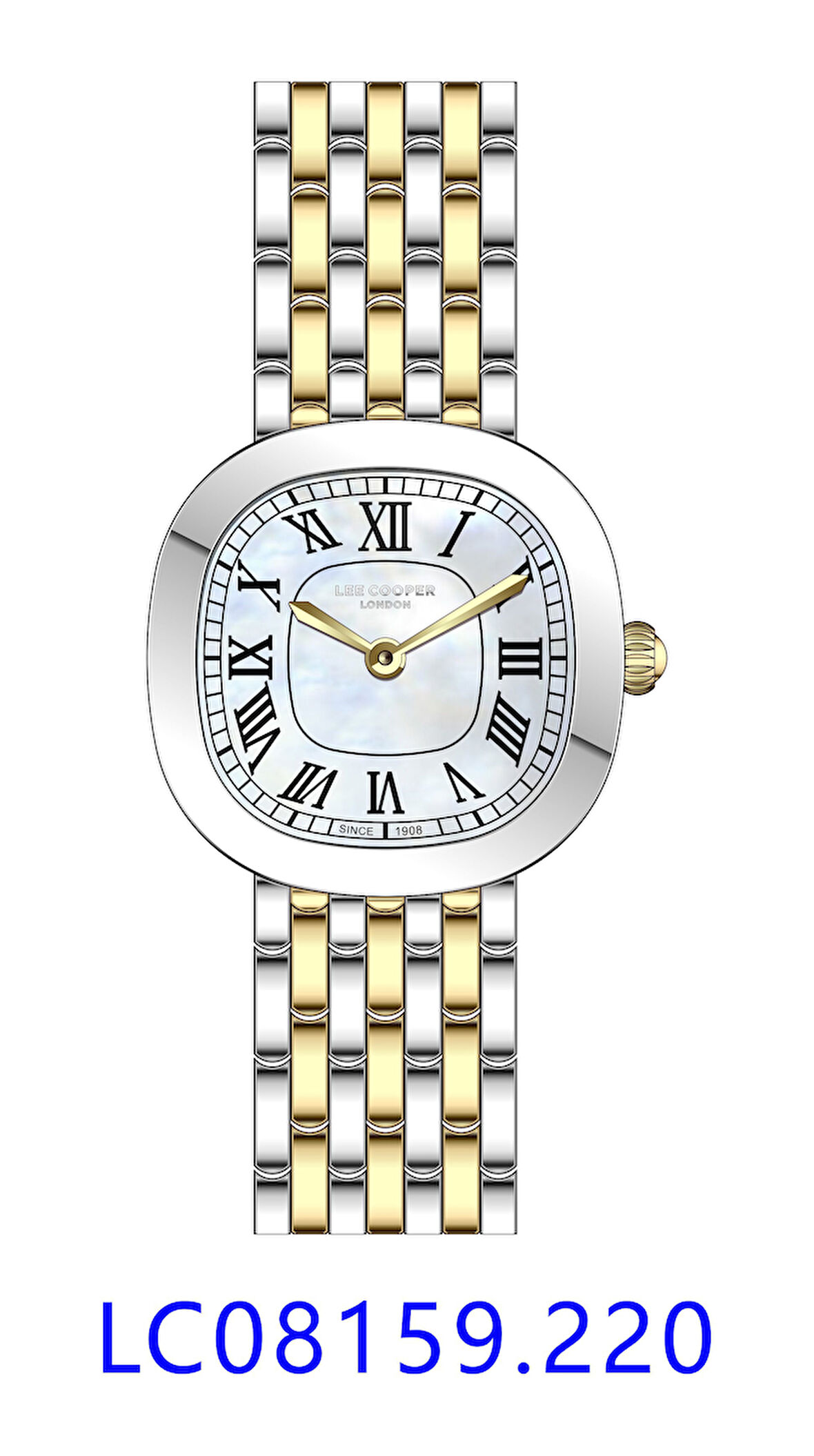LEE COOPER LC08159.220 Kadın Kol Saati