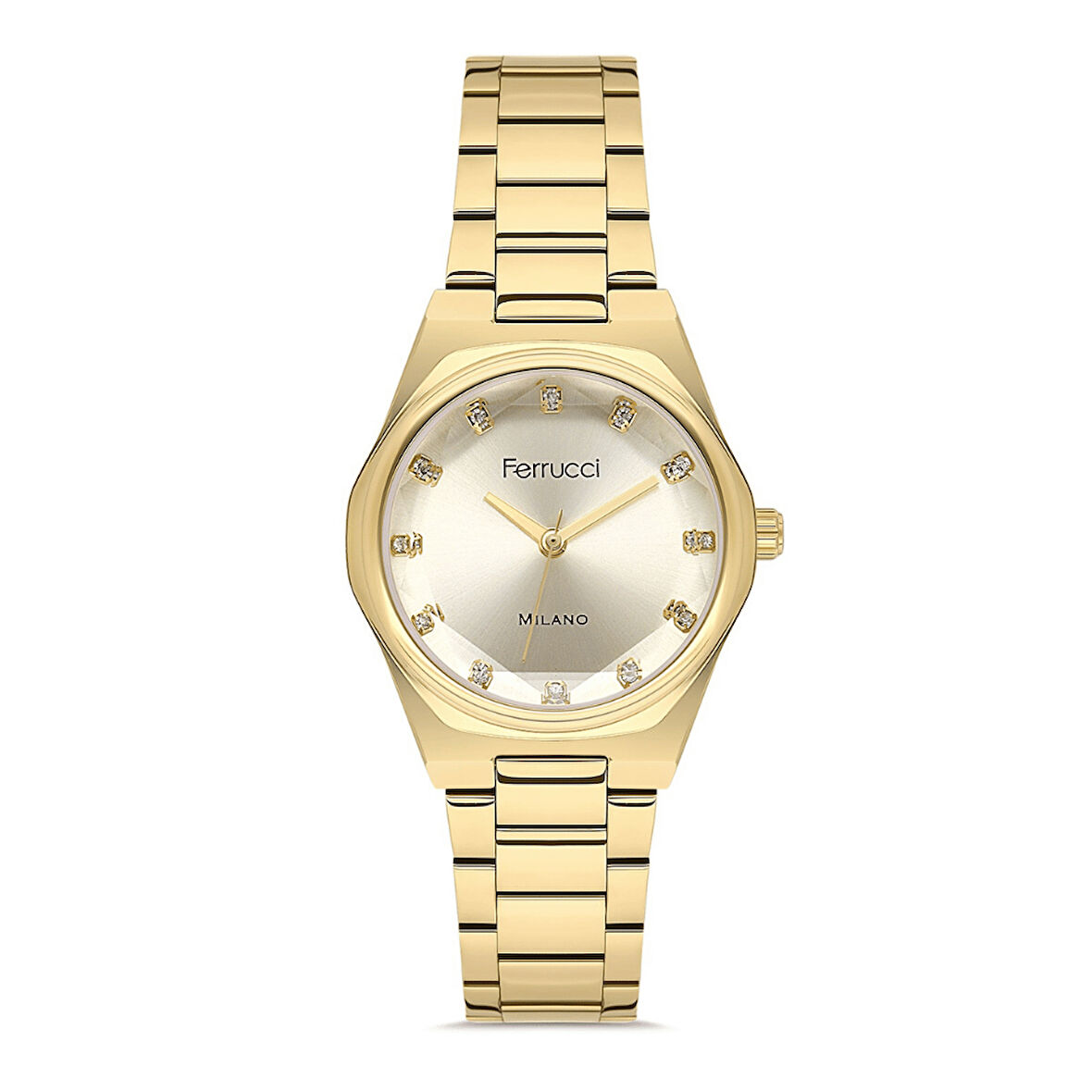 Ferrucci FER.03378M.02 Çelik Kordon Kadın Kol Saati