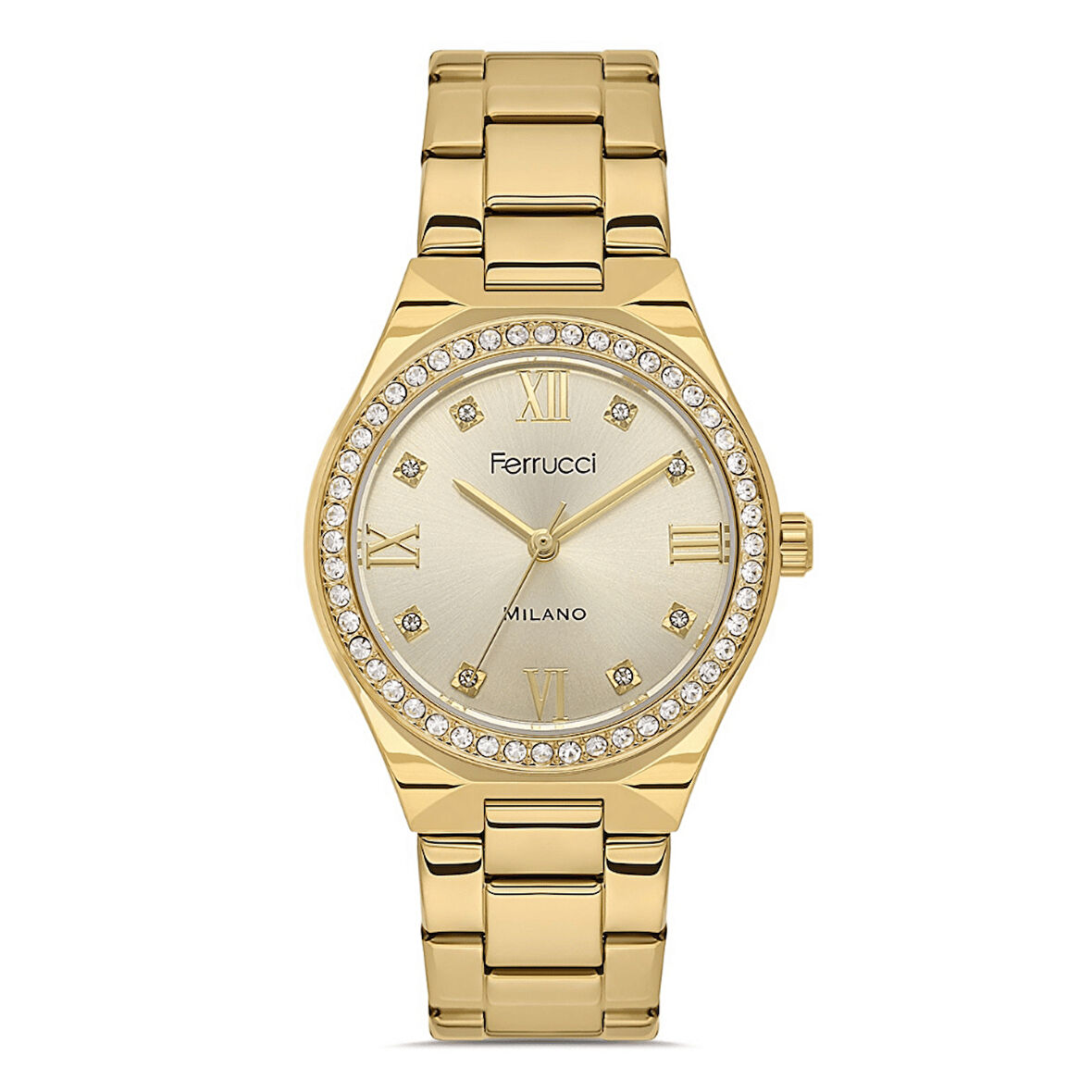 Ferrucci FER.03480M.03 Çelik Kordon Kadın Kol Saati