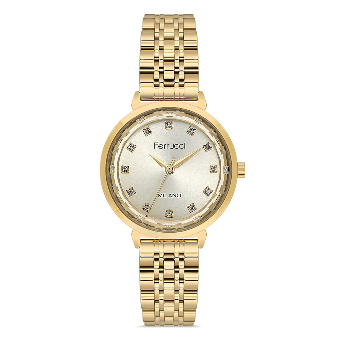 Ferrucci FER.01126M.01 Çelik Kordon Kadın Kol Saati