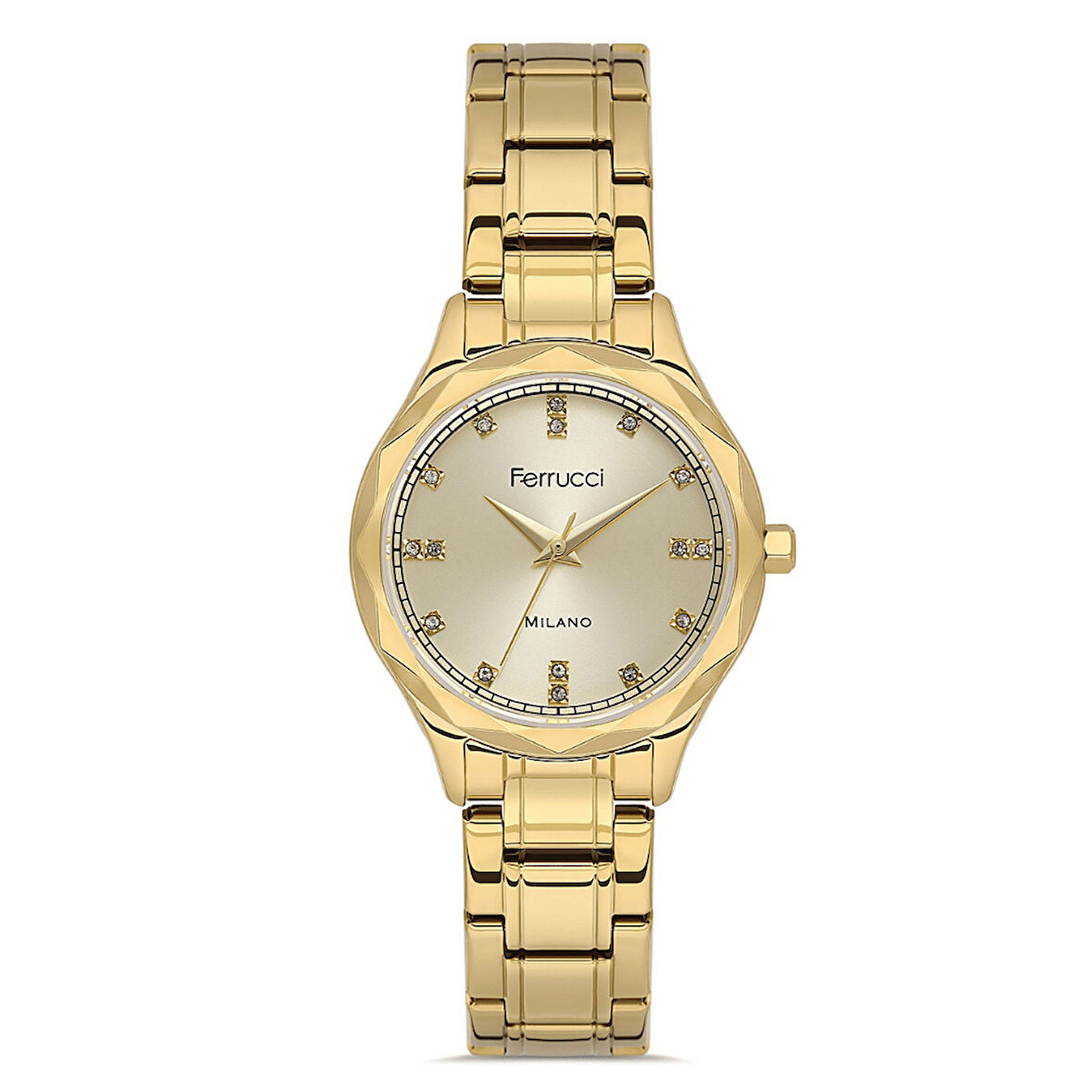 Ferrucci FER.03624M.02 Çelik Kordon Kadın Kol Saati