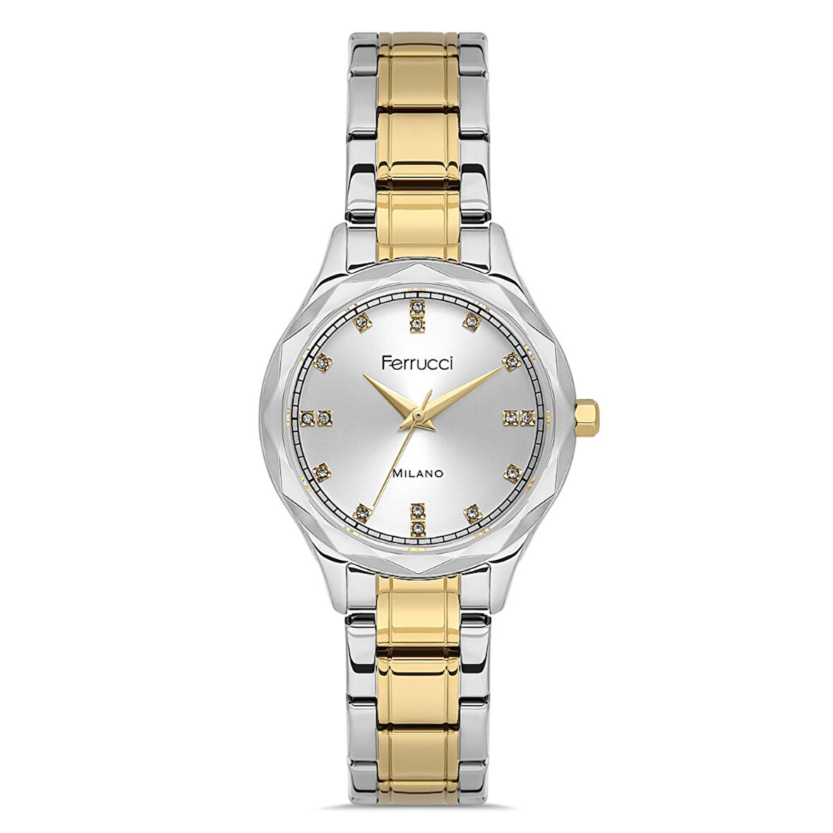 Ferrucci FER.03624M.04 Çelik Kordon Kadın Kol Saati