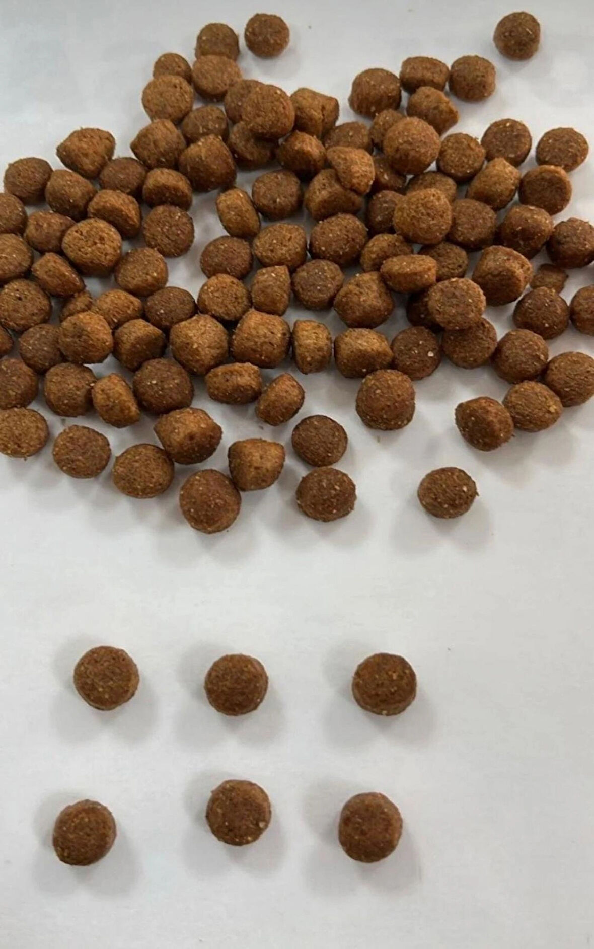 how&meow HOW&MEOW YAVRU KUZULU&PİRİNÇLİ KÖPEK MAMASI 15 KG