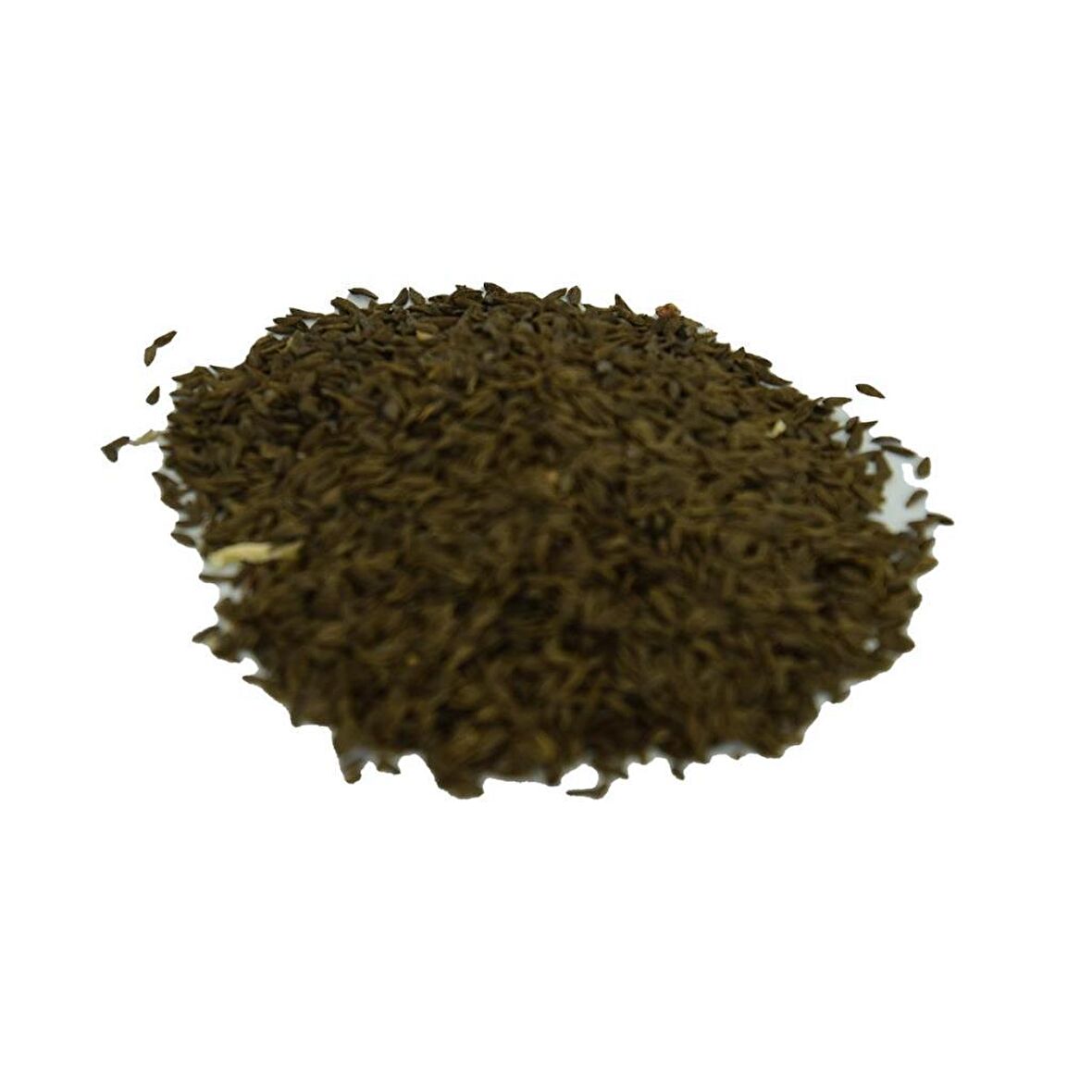 Doğal Saf Kıvırcık Marul Tohumu 100GR Mini Paket