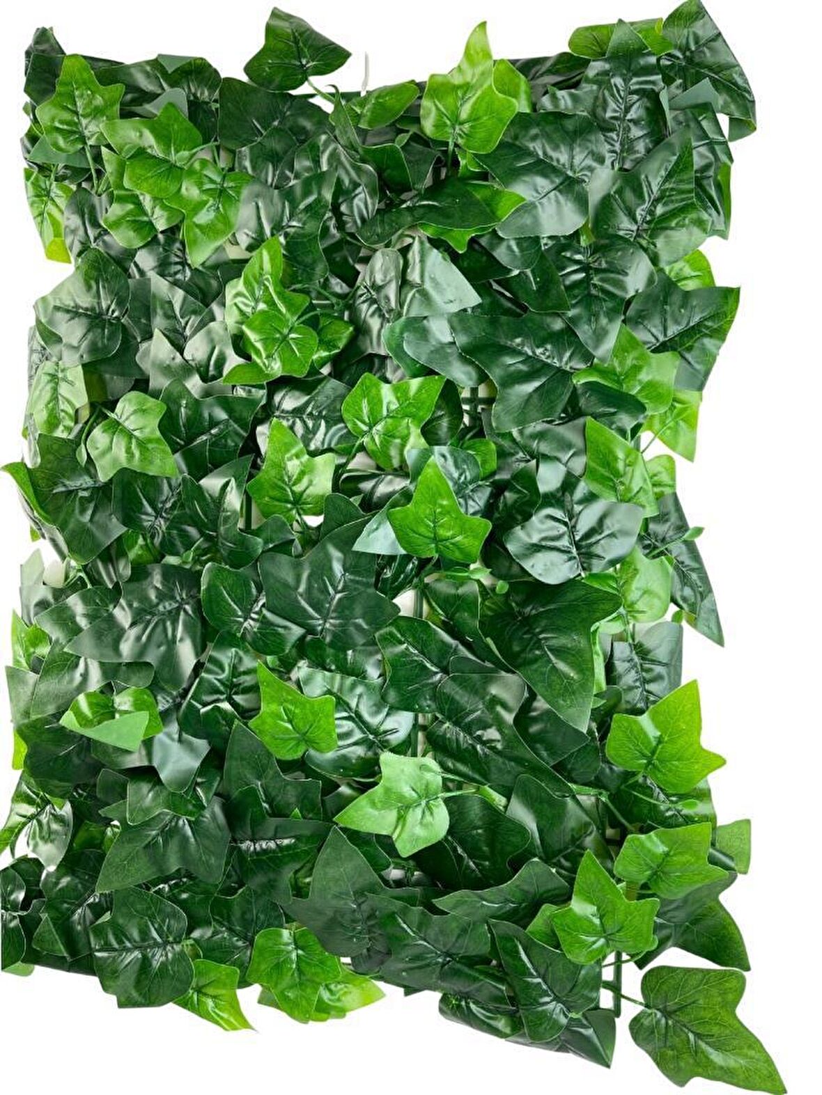 Yapay Çiçek Duvar Kaplama Panel Sarmaşık Hedera Tabaka 45x60 cm Yeşil Dik Duvar Uygulama