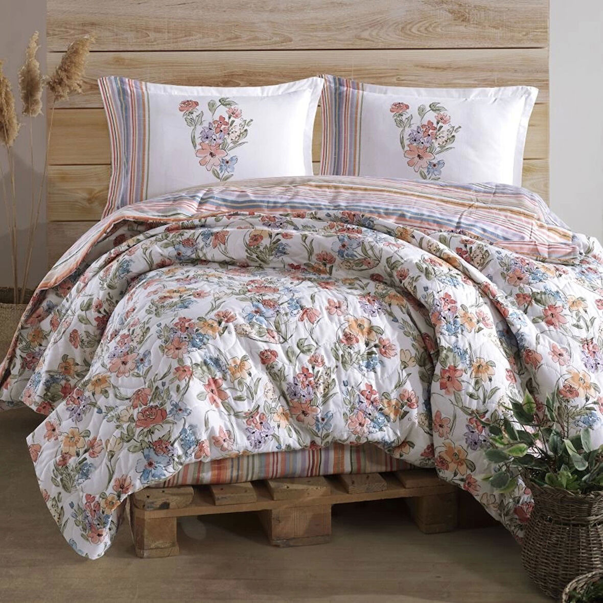Clasy Ranforce %100 Pamuk Çift Kişilik Dört Mevsim Set Zemi Pudra
