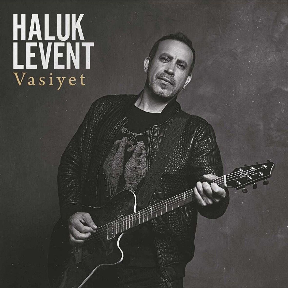 Haluk Levent - Vasiyet (2 Plak)  