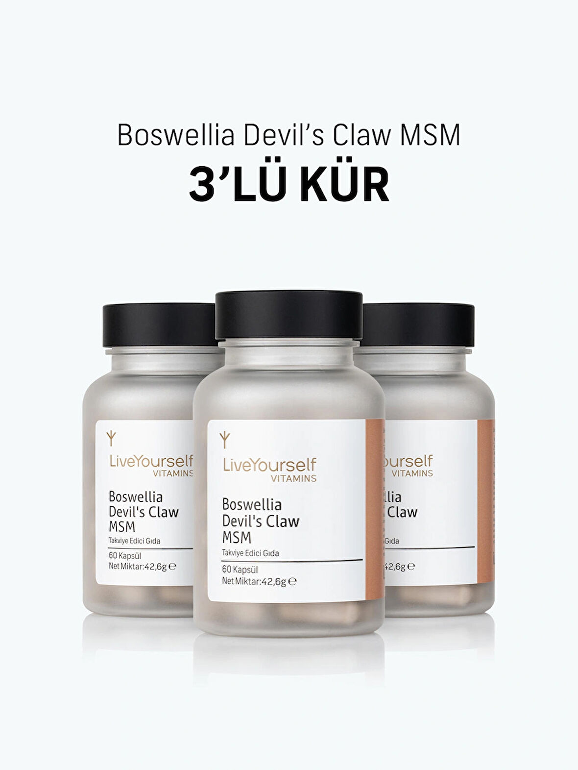 Live Yourself Boswellia Devil's Claw Msm 3 lü Kür