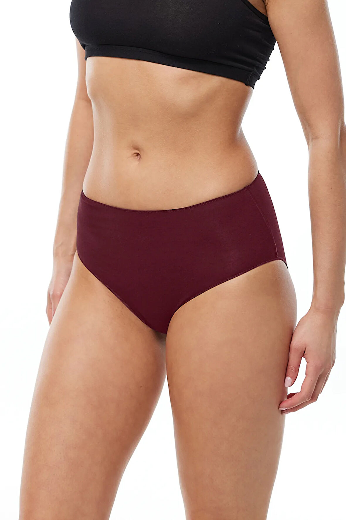 Kadın Bordo 2 Li Paket Modal Yüksek Bel Slip Külot 1955