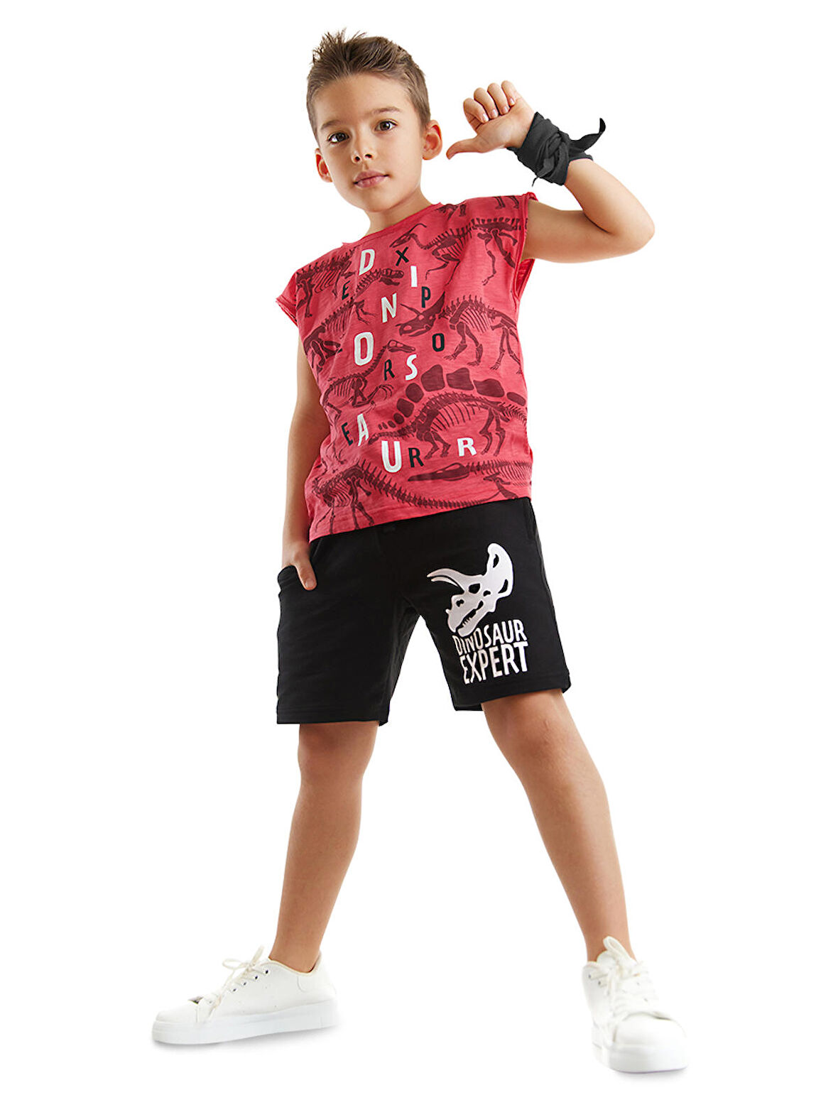 Dinosaur Expert Erkek Çocuk T-shirt Şort Takım