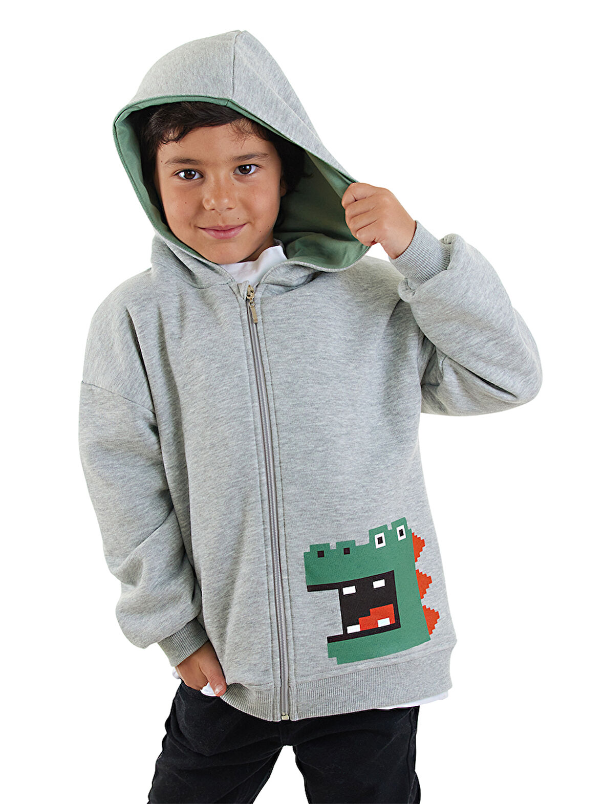Dinozor Erkek Çocuk Fermuarlı Kapüşonlu Gri Sweatshirt