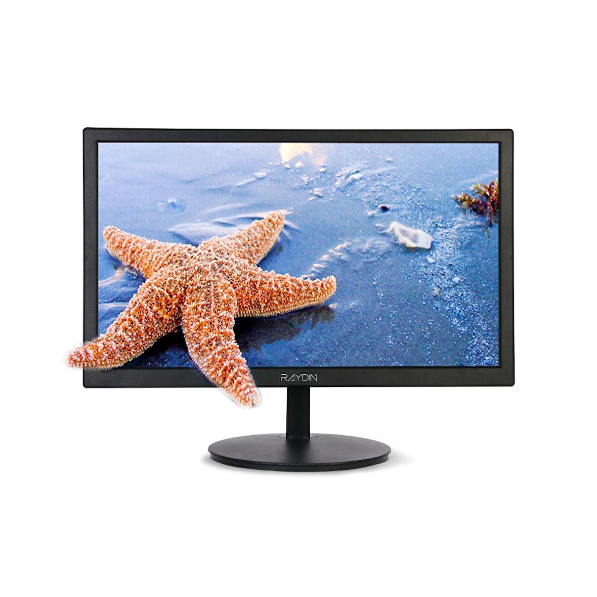 RAYDIN P195VHC 19,5&quot; 5ms, 75Hz, 1600x900, D-Sub, HDMI, TN LED Monitör