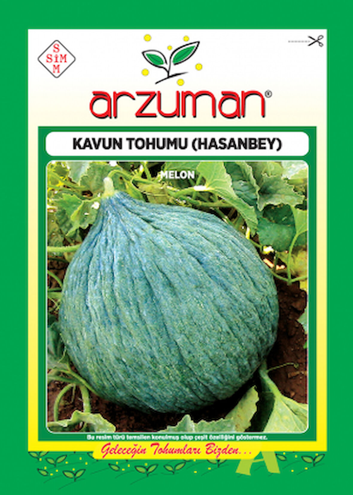 Hasanbey 1 kavun tohumu