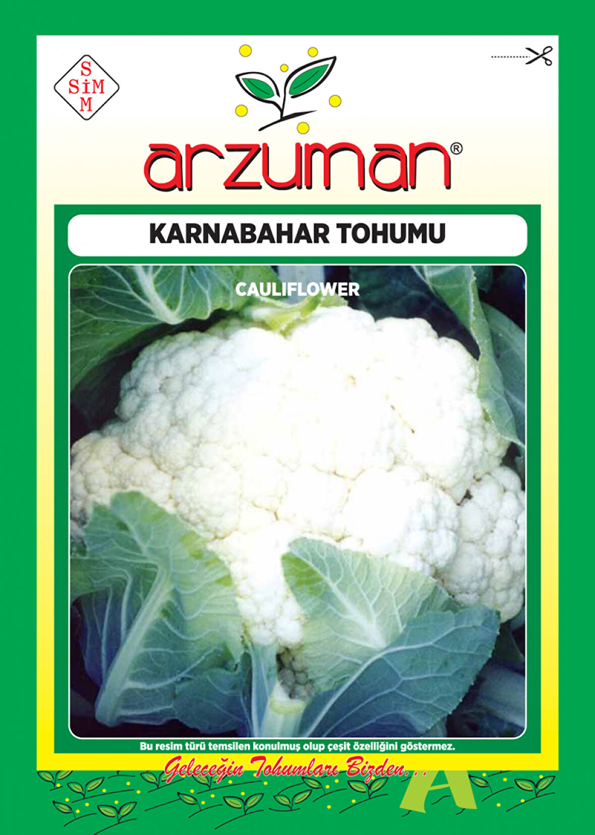 KARNABAHAR TOHUMU 500 ADET