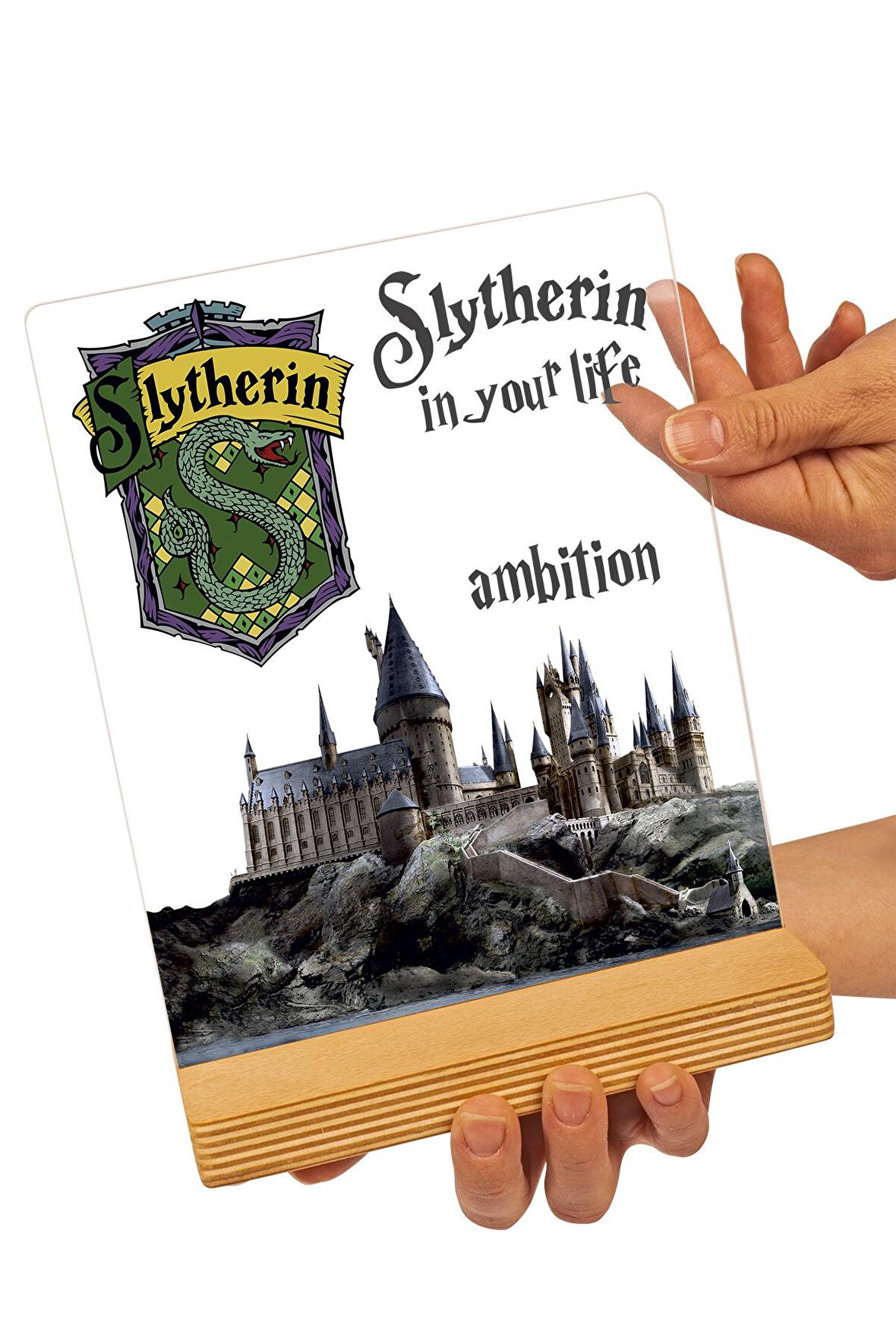 Sevgilambası Harry Potter Hediyesi Hogwarts Slytherin Binası Hediye Paketli Şeffaf Çerçeve