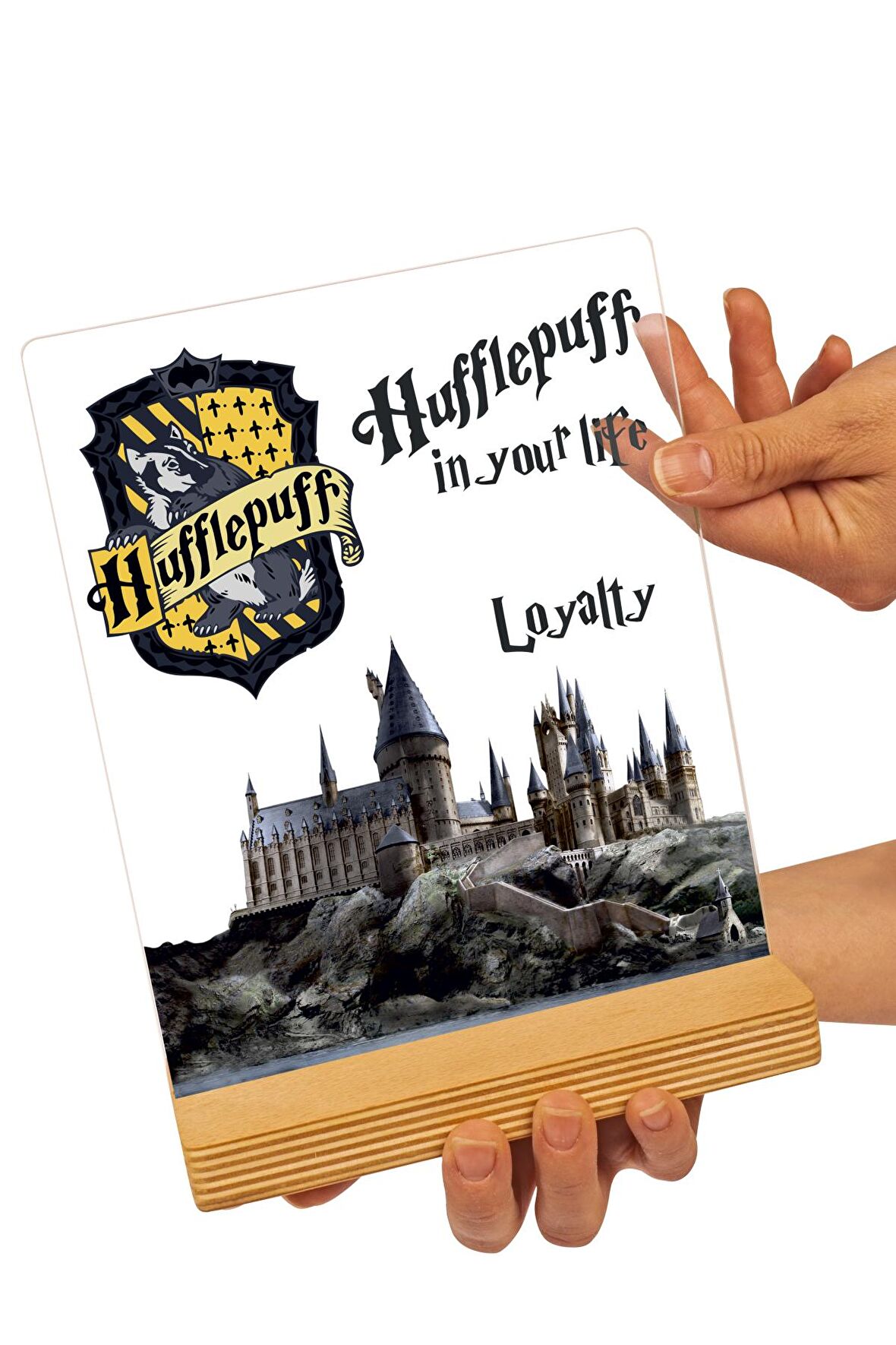 Sevgilambası Harry Potter Hediyesi Hogwarts Hufflepuff Binası Hediye Paketli Şeffaf Çerçeve