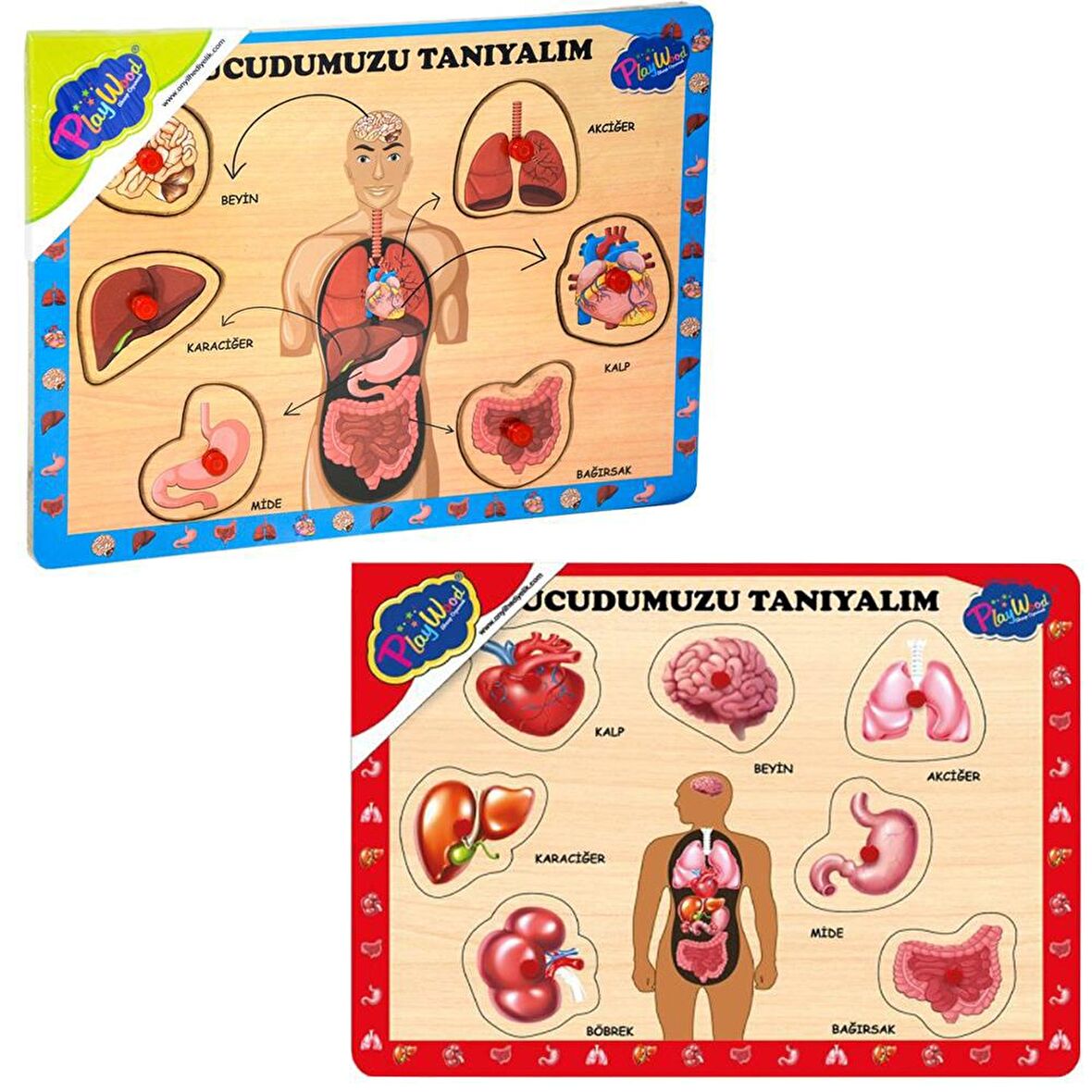 BSSM Yaşam 13 Parça Magnetli Çocuk Puzzle