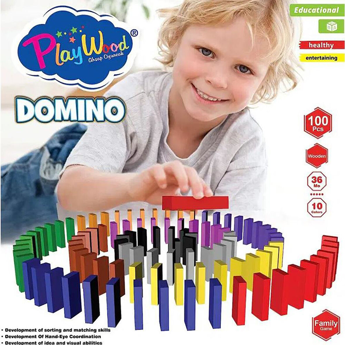 Playwood Renkli Ahşap Domino 100 Parça