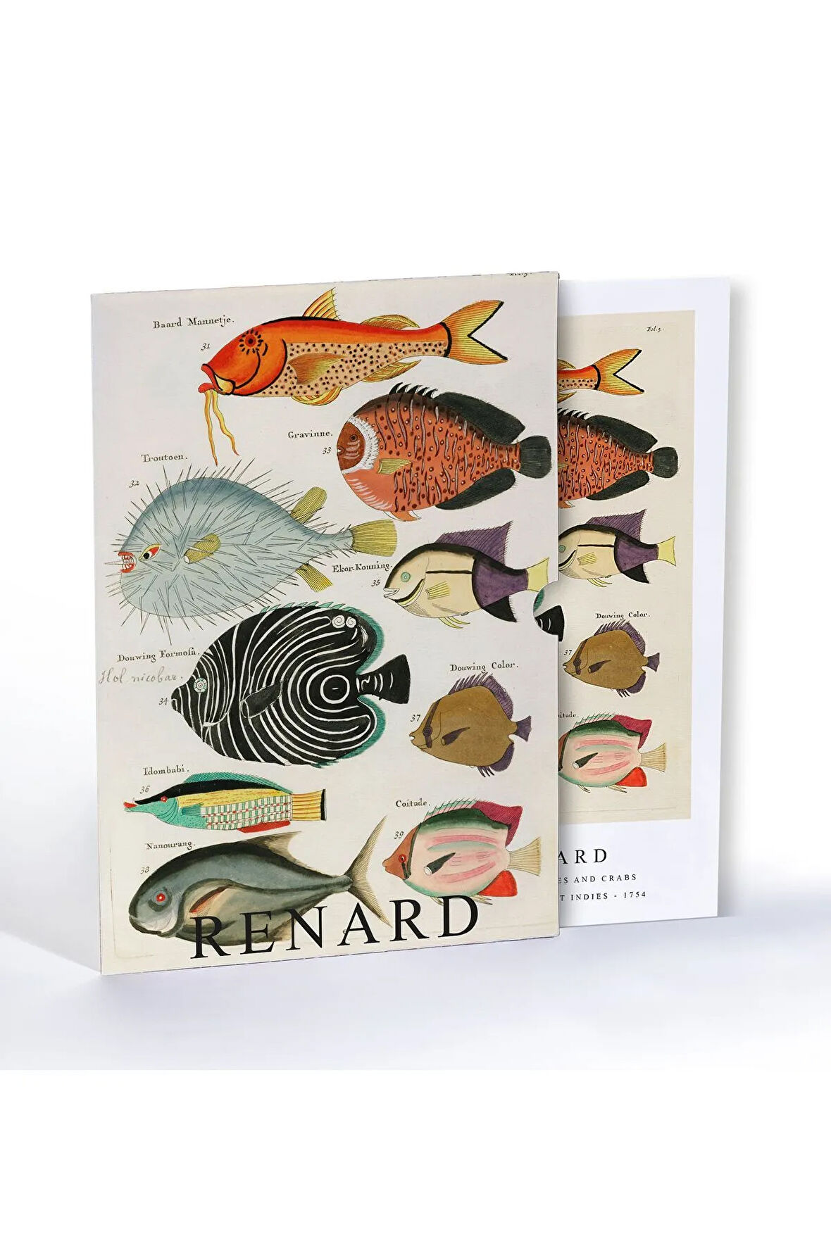 Surreal Illustration Of Fishes And Crabs Found In Moluccas, Özel Tasarım Kılıflı, A4 Poster
