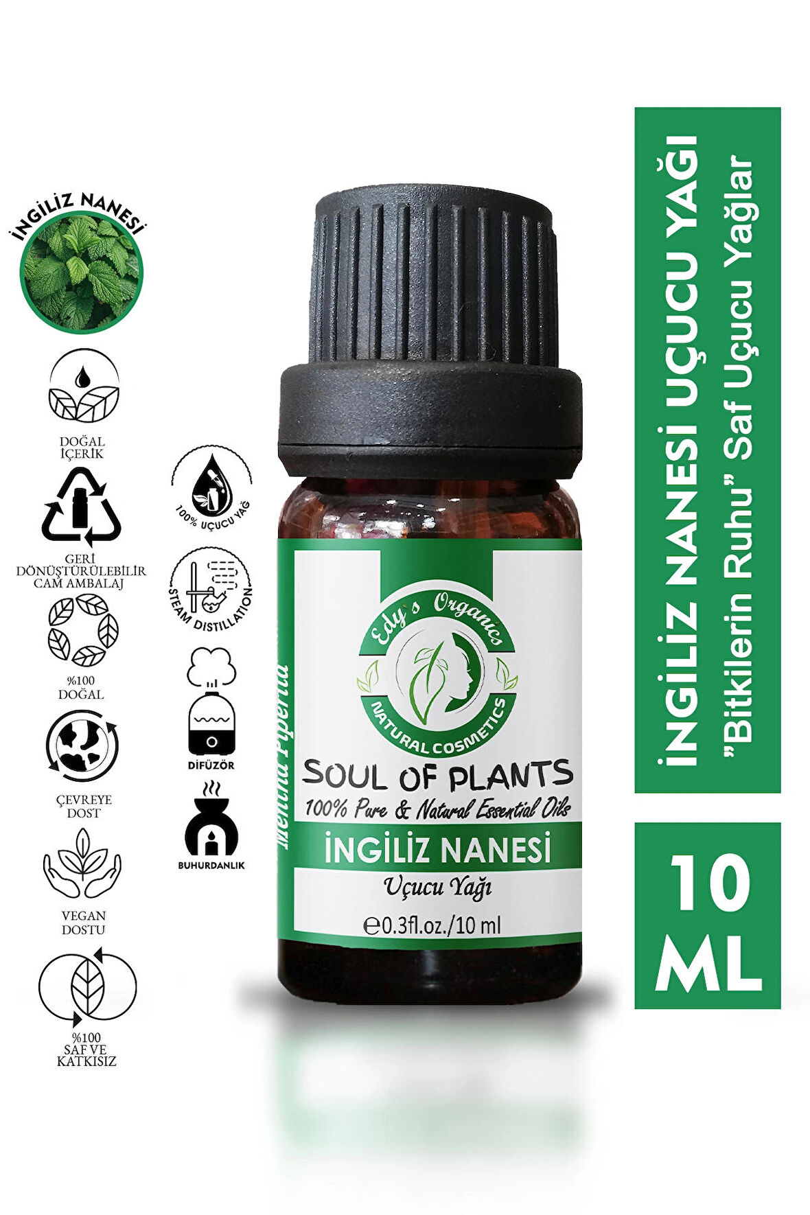 Ingiliz Nanesi Uçucu Yağı(10 ml)