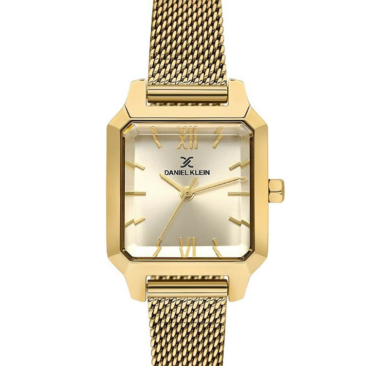 Daniel Klein DKE.1.10791-4 Kadın Kol Saati