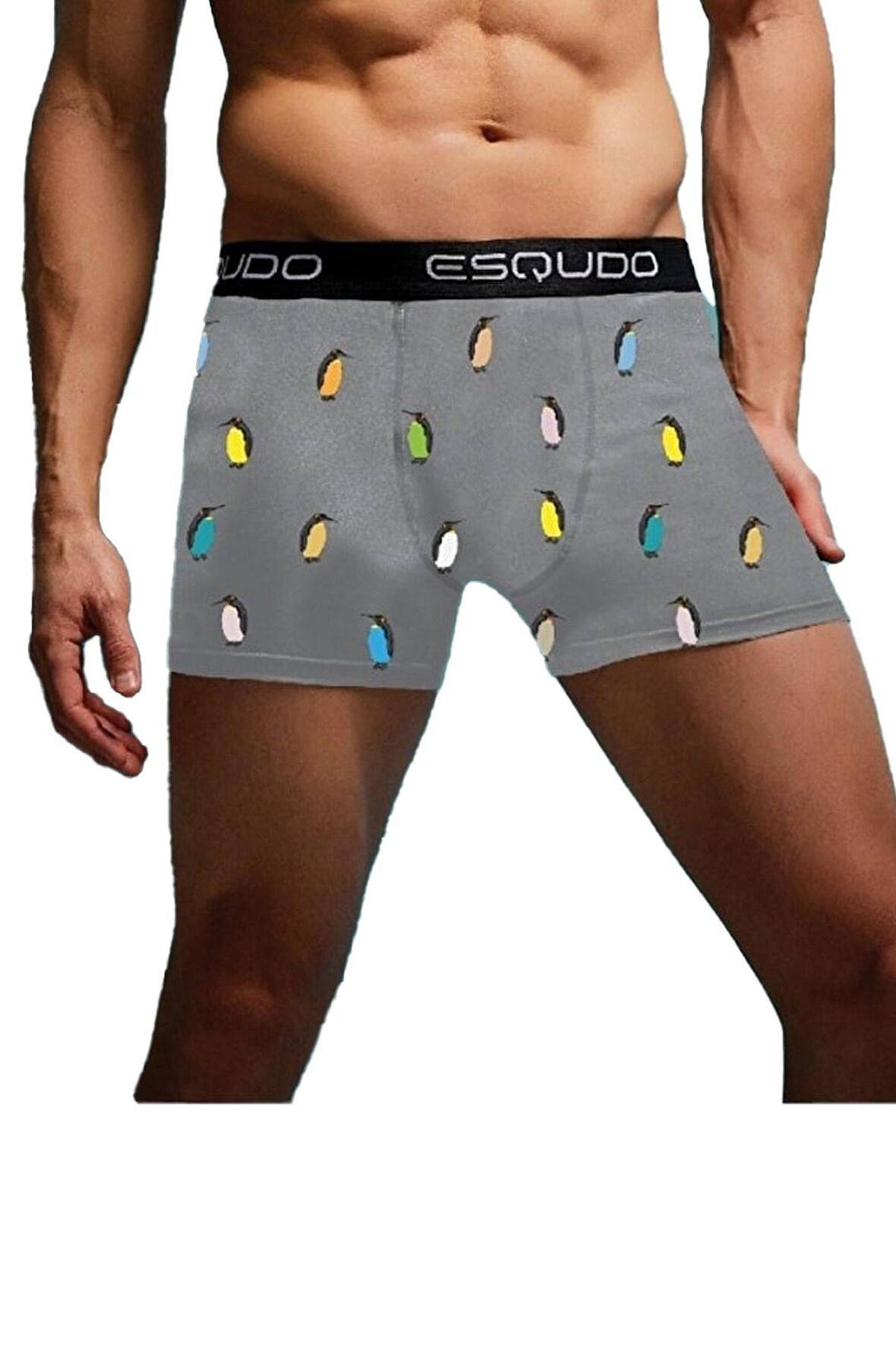 Esqudo Erkek Boxer ESBXD0030