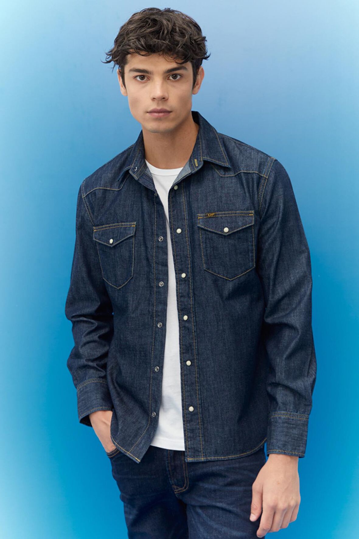 Regular Fit Normal Kesim %100 Pamuk Denim Gömlek